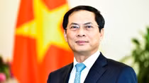 Làm sâu sắc hơn quan hệ Việt Nam với các nước