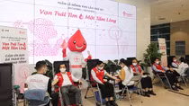 Tuần lễ hồng EVN: “Vạn trái tim – Một tấm lòng”