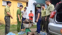 Giữ bình yên miền Tây Bắc