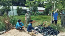 Đang cắt trộm cáp ngầm, thợ điện và "hội bạn" bị bắt