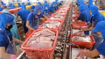 Làm rõ vì sao hàng loạt doanh nghiệp không được hỗ trợ tiền điện đợt 5?