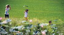 Về quê em nghe hò Đồng Tháp