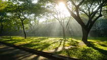 Hà Nội đầu tuần mưa giông, thời tiết mát mẻ