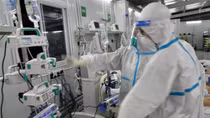 Thuốc kháng virus Molnupiravir điều trị cho F0 làm giảm lây lan, giảm chuyển nặng