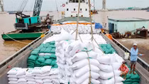 Chi phí vận tải quá cao, doanh nghiệp không kịp “trở tay”