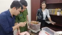 Truy tố đối tượng buôn bán xì gà nhập lậu
