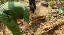 Nghi án cô gái trẻ bị đâm rồi mất tích, xe bị đốt cháy