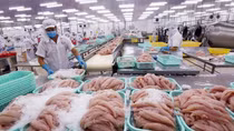 Quý I/2022, EC sẽ kiểm tra việc khắc phục “thẻ vàng” thủy sản của Việt Nam