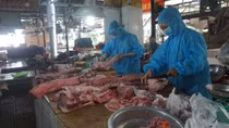 Đà Nẵng: Tổ dân phố cử người đi chợ theo khung giờ thay dân