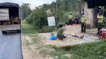 Phát hiện ô tô tải chở 6 xác cá thể linh trưởng