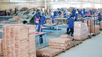 Nhiều vướng mắc cần tháo gỡ để doanh nghiệp tái sản xuất sau ngày 30/9