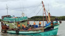 Bắt giữ tàu cá đánh bắt hải sản trái quy định IUU trên vùng biển Tây Nam