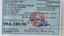 Dùng đăng ký xe giả đến nộp phạt