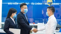 Từ ngày 30/11, Tập đoàn Bảo Việt chi trả 667 tỷ đồng cổ tức bằng tiền mặt