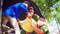 Công an tỉnh An Giang tiếp tục trao tặng 200 tấn gạo, 47 tấn cá, rau củ hỗ trợ người dân khó khăn