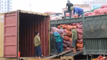 Hàng nghìn người lao động đường sắt phải tạm thời nghỉ việc