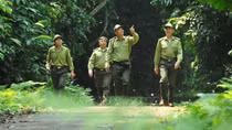 Khai mạc Cuộc thi viết "Cúc Phương - 60 năm xây dựng và phát triển"