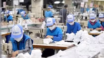 Kết nối lao động để phục hồi kinh tế