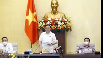 Kỳ họp thứ hai, Quốc hội sẽ họp trực tuyến trước khi họp tập trung