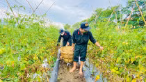 Vừa chống dịch, vừa giữ vững an ninh trật tự