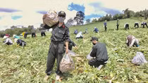 Triệu phần quà, chia sẻ yêu thương