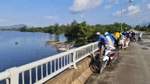 Cha tử vong, con trai mất tích khi đánh cá trên sông Bù Lu