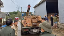 Phát hiện số lượng lớn gỗ lậu chất đống trong nhà kho xưởng cưa
