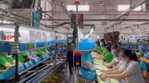 Phạt doanh nghiệp không thực hiện quét mã QR cho người vào làm việc