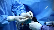Yêu cầu kiểm tra, chấn chỉnh hiện tượng môi giới mua bán tạng