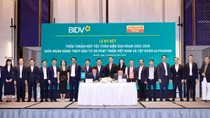 BIDV và Alphanam nâng tầm quan hệ hợp tác