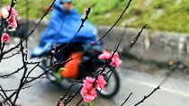 Miền Bắc trời mưa kèm rét buốt, Hà Nội thấp nhất 12 độ