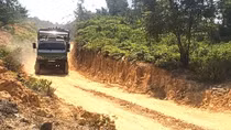 TP Huế: Làm rõ việc chưa được phê duyệt nhưng vẫn khai thác gỗ trên đất rừng