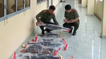 Đề nghị truy tố nhóm 10 bị can mua bán, sử dụng trái phép vũ khí quân dụng
