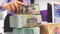 Tỷ giá USD trung tâm lần đầu tiên vượt mốc 24.000 đồng