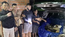 Triệt phá đường dây trộm cắp và tiêu thụ chó mèo “khủng” ở Tây Ninh