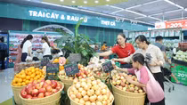 Mảng khoáng sản của Masan có lãi cả năm, thành mảnh ghép tăng trưởng mới