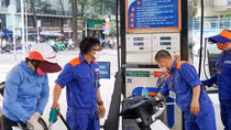 Đẩy mạnh sản xuất, phối trộn và sử dụng nhiên liệu sinh học tại Việt Nam