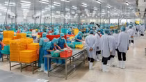 Ban Thường vụ Tỉnh ủy Thanh Hóa thăm và làm việc tại Tỉnh An Giang và Tập đoàn Sao Mai