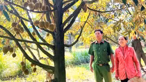 Đấu tranh, phòng ngừa tội phạm trộm cắp tài sản tại Lâm Đồng