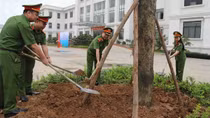 Văn phòng Cơ quan CSĐT Bộ Công an trồng cây xanh hưởng ứng “Tết trồng cây đời đời nhớ ơn Bác Hồ”