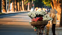 Bắc Bộ mưa vài nơi, sáng sớm có sương mù, Nam Bộ nắng ấm