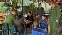 Kiểm soát vi phạm pháp luật liên quan đến động vật hoang dã