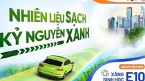 Nhiều doanh nghiệp có khả năng triển khai xăng E10 sớm hơn dự kiến