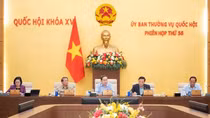 Quốc hội, Ủy ban Thường vụ Quốc hội tăng cường giám sát chuyên đề