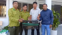 Mất gà, người dân đặt bẫy bắt được mèo rừng quý hiếm