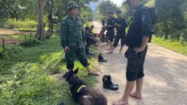 Truy tìm hung thủ nghi giết vợ cũ rồi bỏ trốn