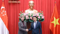 Cùng xây dựng không gian mạng an toàn, bền vững Việt Nam – Singapore