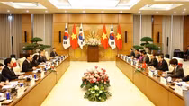 Văn hóa, thể thao trở thành nhịp cầu kết nối bền chặt Việt Nam - Hàn Quốc