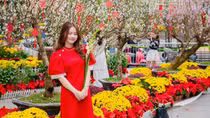 Du khách tấp nập check in không gian hoa xuân ấn tượng giữa lòng Hà Nội