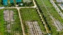 Điều tra mở rộng vụ lừa đảo mua bán đất nền "dự án" tại Công ty Đại Phúc Real